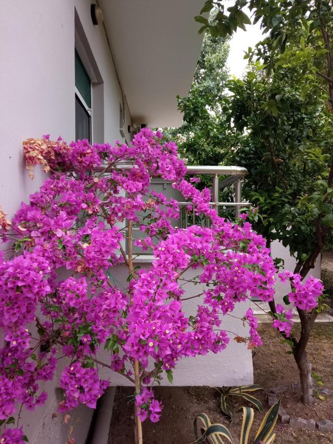 Sofia'S Garden Apartment เนอาเปรามอส ภายนอก รูปภาพ